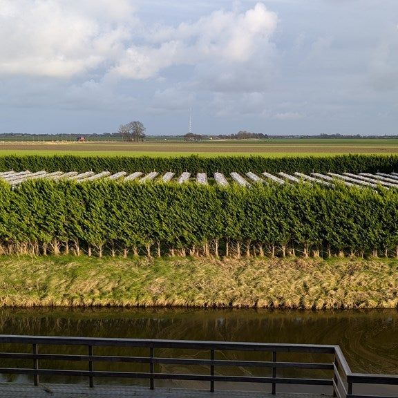 Te huur: Huis Jan van de Boekhorstborg 21 in Spanbroek - Photo 1