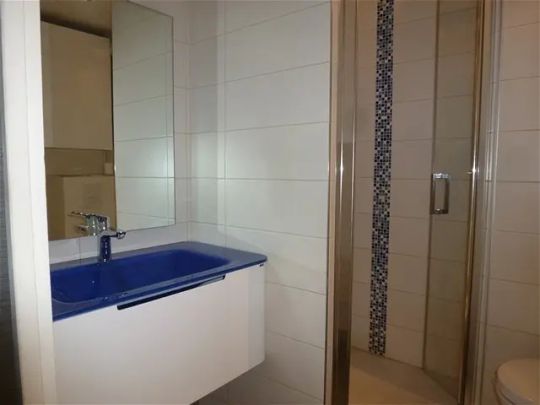 Location appartement 2 pièces - 37.8m² à Fontaine (38600) - Photo 1