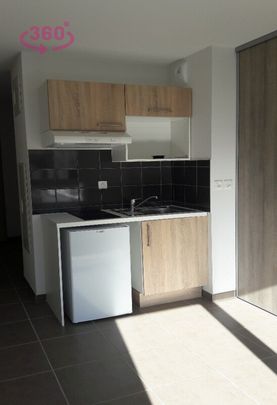 Location Appartement 1 pièce 21m² PAU 64000 - Photo 1