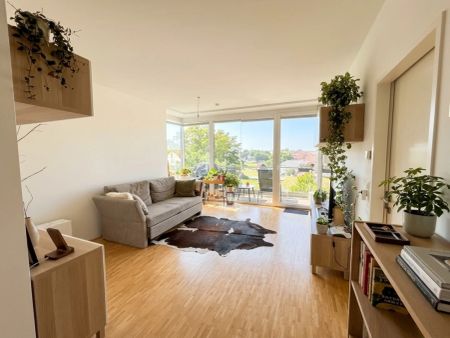 Blick ins Grüne - 3 Zimmer Wohnung mit Küche in Linz - Foto 3