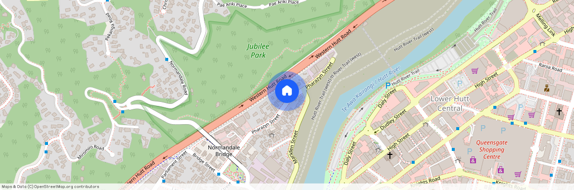 51 Pharazyn Street, Melling, Lower Hutt