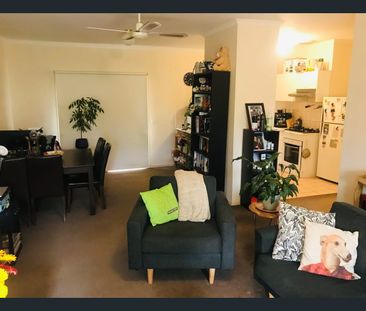 A Hidden Gem - Photo 3