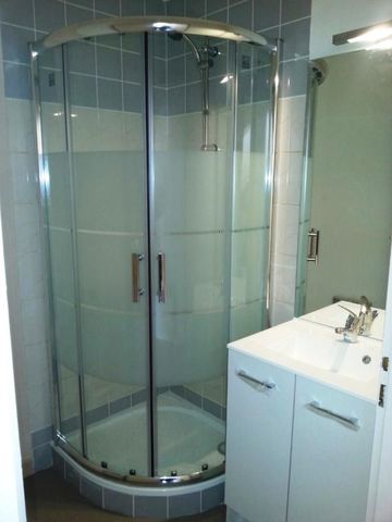 Location Appartement 1 pièce 25m² NANCY 54000 - Photo 4