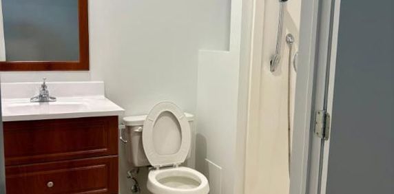 1 CH - 1 SDB - Montréal - $1,199 /mo - Photo 2
