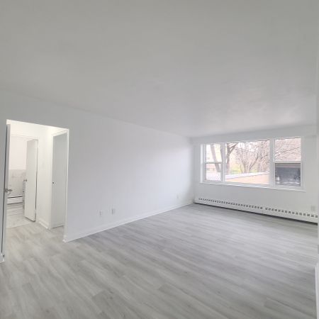 For Lease - 125 Shelborne Avenue Unit# 2, Toronto, Ontario - Photo 3