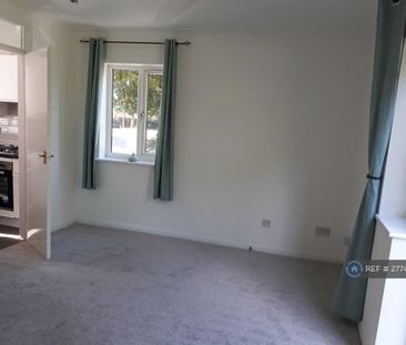 Studio to rent - Photo 1