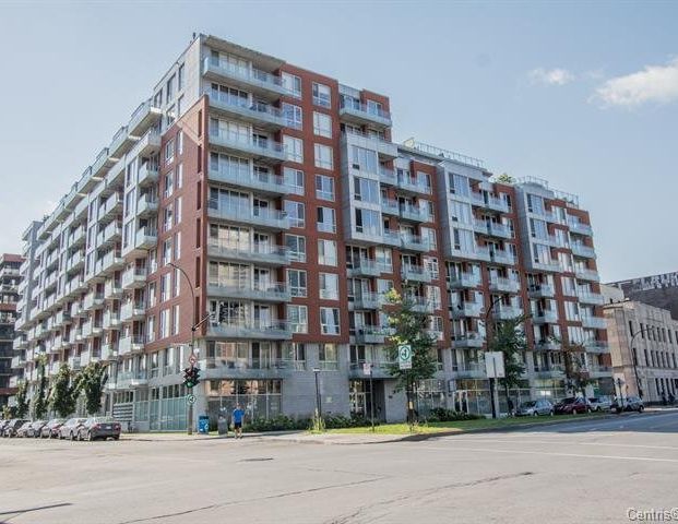 À louer / Appartement - Photo 1