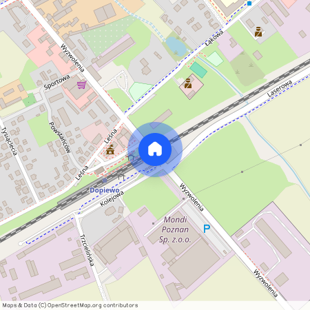 ul. Wyzwolenia, Dopiewo, Dopiewo, poznański, wielkopolskie