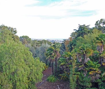 Maison de Maître et son parc unique de 8 hectares, Cote d'Azur à louer - Photo 6