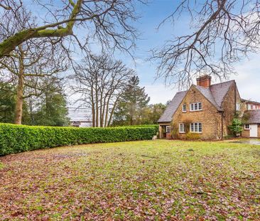 3 bedroom detached house to rent - Photo 3