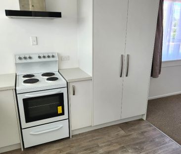 Be the first to enjoy this freshly updated, oversized one-bedroom u... - Photo 4