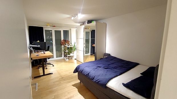 2½ Zimmer-Wohnung in Dübendorf (ZH), möbliert - Foto 1