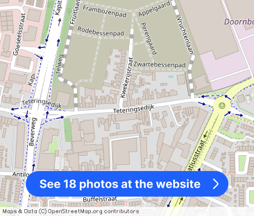 Toppertje aan de Teteringsedijk! - Photo 1