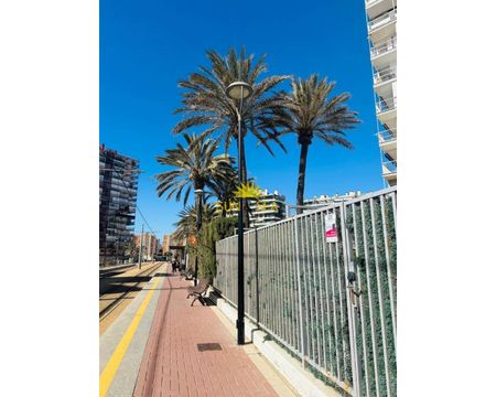1 BEDROOM APARTMENT - ALICANTE - Photo 2