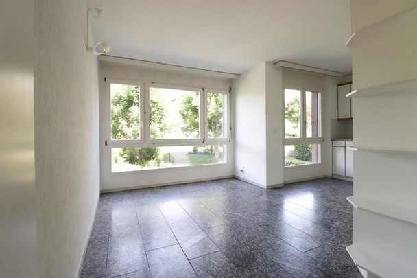 3.5 Zimmer-Wohnglück in Murten (1 Monat gratis) - Foto 1