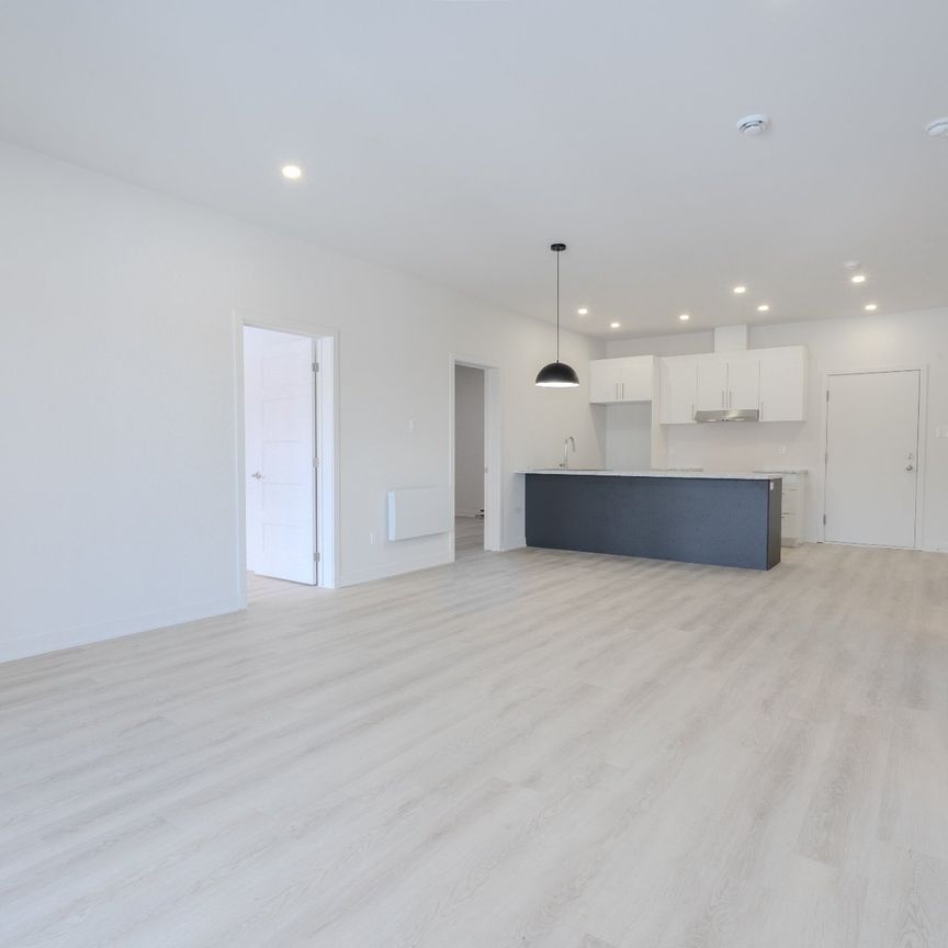 Rue Bonneville, J0S 1H0, Huntingdon - Photo 1