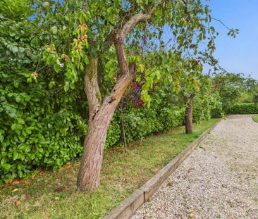 2 bedroom bungalow to rent - Photo 5