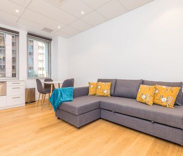 Designer Apartment! - Photo 1