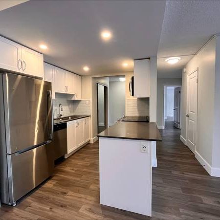 Newly Renovated 3 BR/1.5BA near SFU, Lougheed Mall, Skytrain Statin - Photo 1