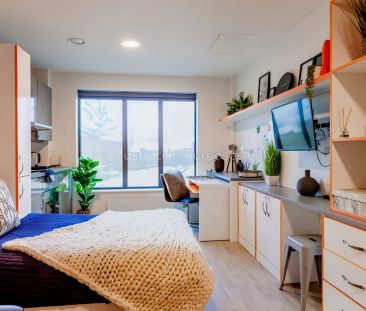 Classic Studio - Photo 3