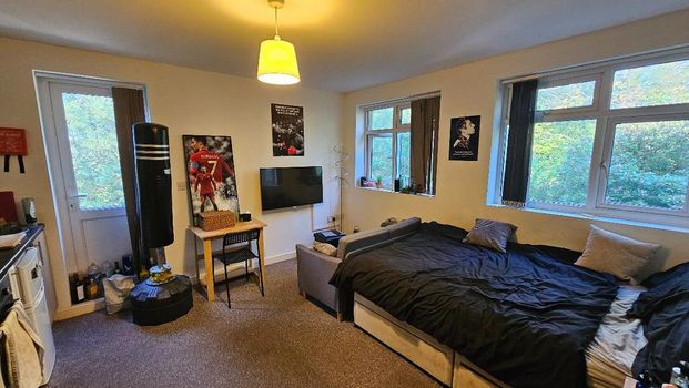 Studio to rent - Photo 1