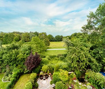 Weitläufige Dachterrasse mit unverbaubarem Blick ins Grüne - Photo 6