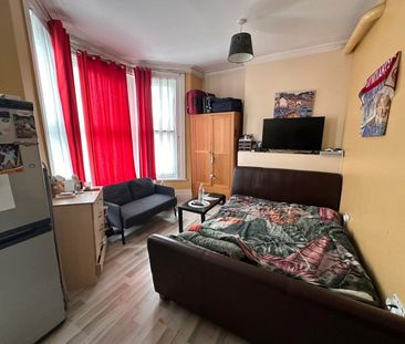 Studio Flat, Green Lanes, N8 - Photo 5