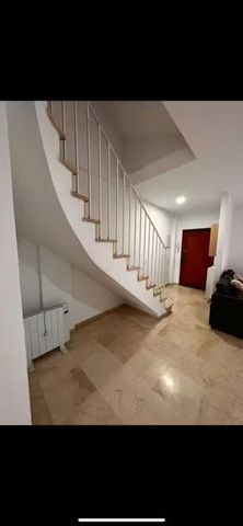 Calle Amador de los Ríos, Sevilla, Andalusia 41003 - Photo 5