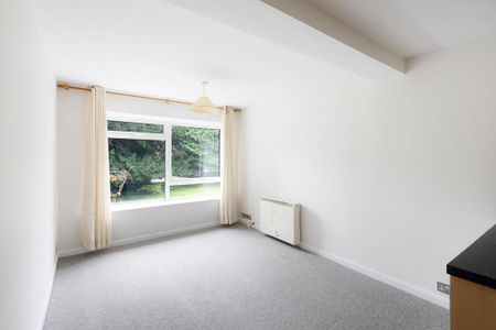 1 bedroom flat to rent - Photo 2