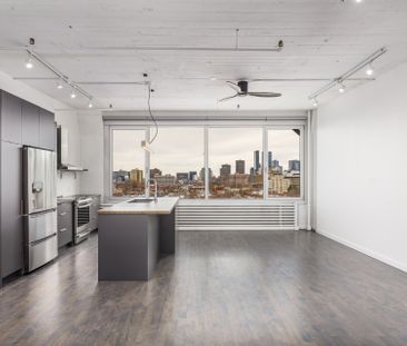 Appartement à louer à Montréal (Le Plateau-Mont-Royal) - Photo 6