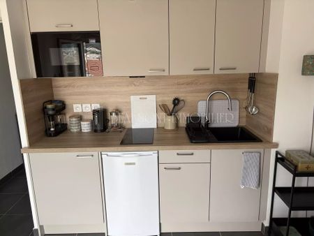 Location Appartement 1 pièce 22m² NICE 06300 - Photo 3