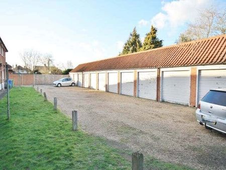 Patricia Road, Norwich - Photo 5