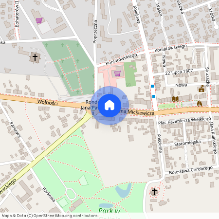 Tulipanowa, WIELKOPOLSKIE, Golina