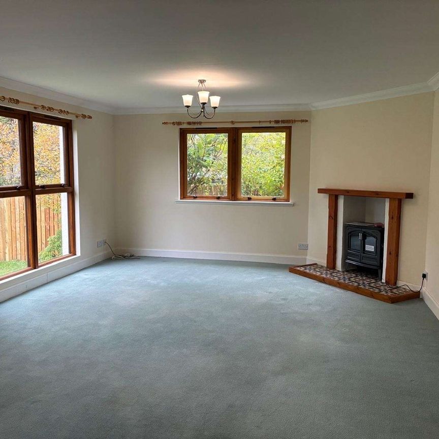 Detached 5 Bedroom Home in much sought after location. - Photo 1