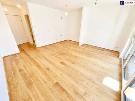 Grünblick für die Seele! Kleine Wohnung - Große Freude! Großer, hofseitiger Balkon + Blick ins Grüne + Komplette Hofruhelage + Energieeffizienz + Perfekte Anbindung und Nahversorgung! Jetzt zugfreifen! - Photo 1