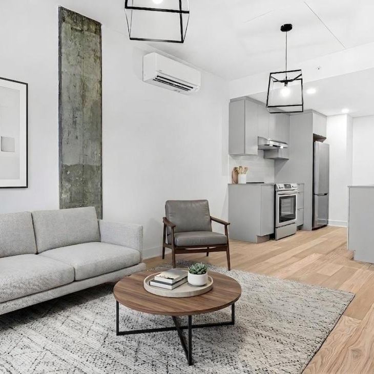 Appartement à louer - Montréal (Le Plateau-Mont-Royal) (Le Plateau-Mont-Royal) - Photo 1