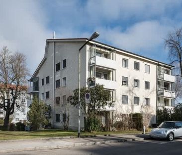 3 Zimmer, 62 m², EG - Photo 5