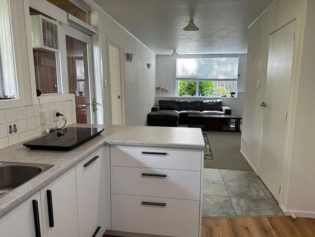 Large, comfortable 1BR Retreat in Glenfield - Photo 2