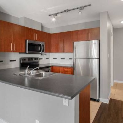 1B/1B, Modern Fitness Facility, Fully-Equipped Contemporary Kitchen - Photo 3