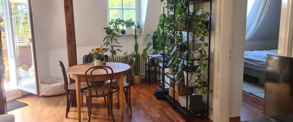 Wunderschöne 2-Zimmerwohnung unterhalb der Sparrenburg - Photo 1