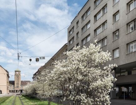 Luminous 3-room apartment in a central location in Basel - Photo 1