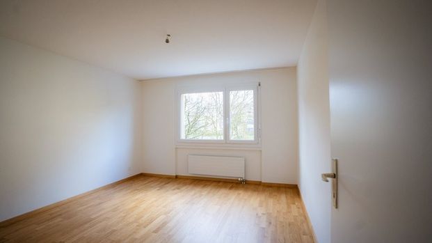 Komfortable, sanierte Wohnung an ruhiger Lage - Foto 1