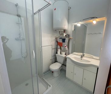 Location Appartement 1 pièce 18m² - Photo 3