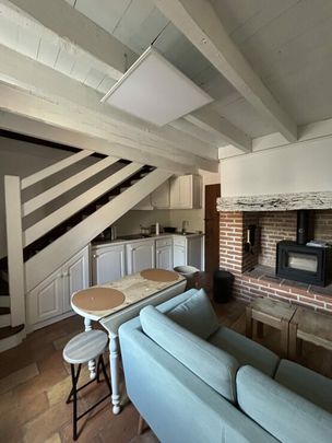 T2 BIS – CENTRE VILLE GAILLAC - Photo 1