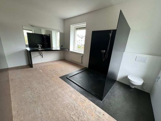 6.5 Zimmer, 370 m², 1. Stock - Foto 1
