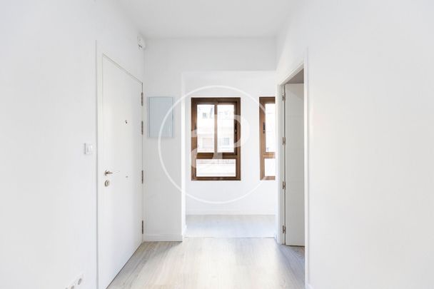 Apartment for rent in Palma - Photo 1