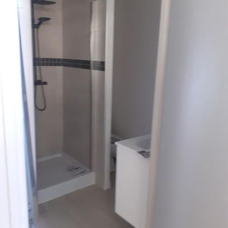 Location Appartement 1 pièce 19m² - Photo 4