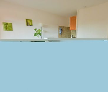 Appartement 1 Pièce 24 m² - Photo 3