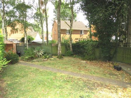 Sycamore Close - Photo 4