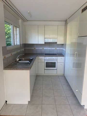 Grosszügige Familienwohnung mit eigenem Waschturm - Photo 4
